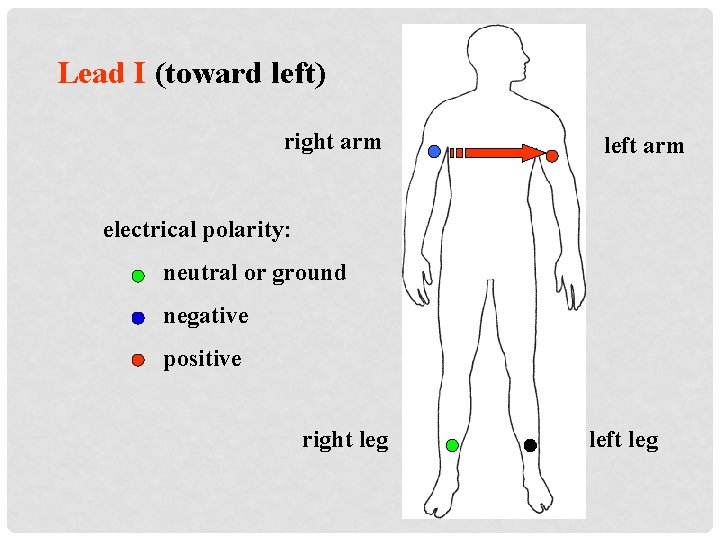 Lead I (toward left) right arm left arm electrical polarity: neutral or ground negative