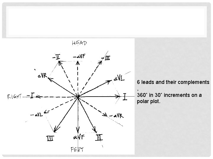 6 leads and their complements , 360˚ in 30˚ increments on a polar plot.