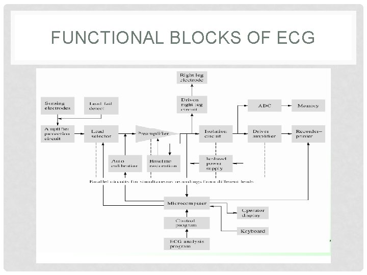 FUNCTIONAL BLOCKS OF ECG 