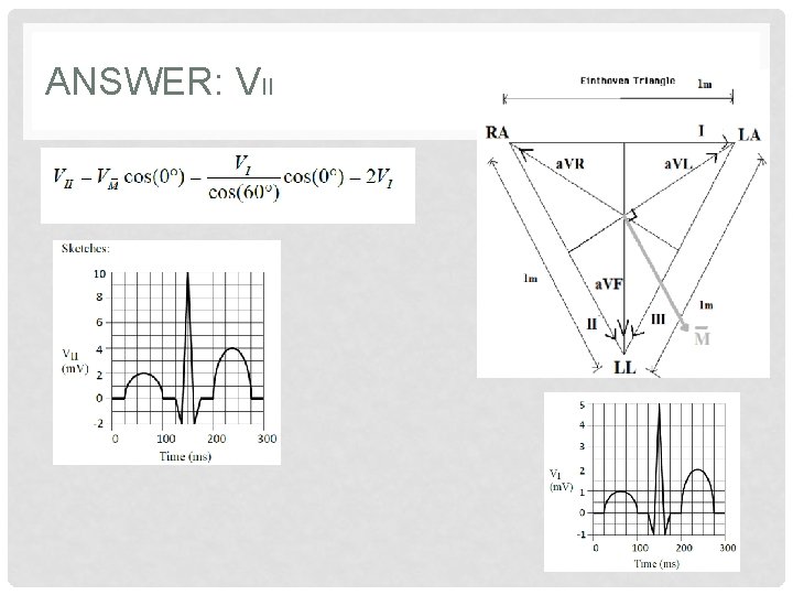 ANSWER: VII 