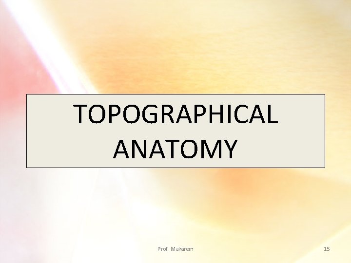 TOPOGRAPHICAL ANATOMY Prof. Makarem 15 