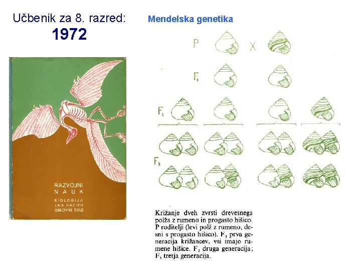 Učbenik za 8. razred: 1972 Mendelska genetika 