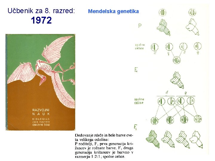 Učbenik za 8. razred: 1972 Mendelska genetika 