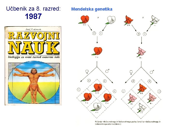 Učbenik za 8. razred: 1987 Mendelska genetika 