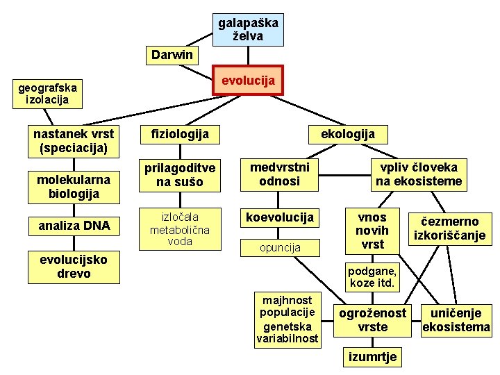 galapaška želva Darwin evolucija geografska izolacija nastanek vrst (speciacija) molekularna biologija analiza DNA evolucijsko