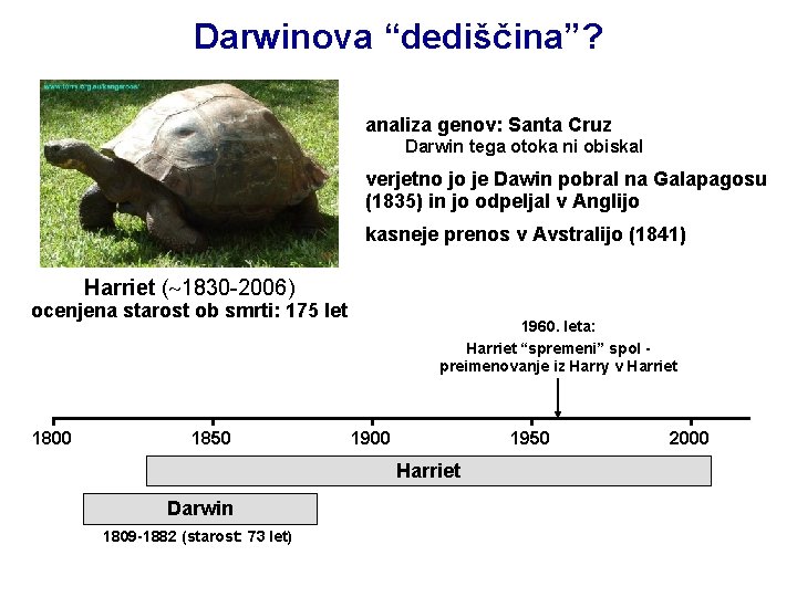 Darwinova “dediščina”? analiza genov: Santa Cruz Darwin tega otoka ni obiskal verjetno jo je