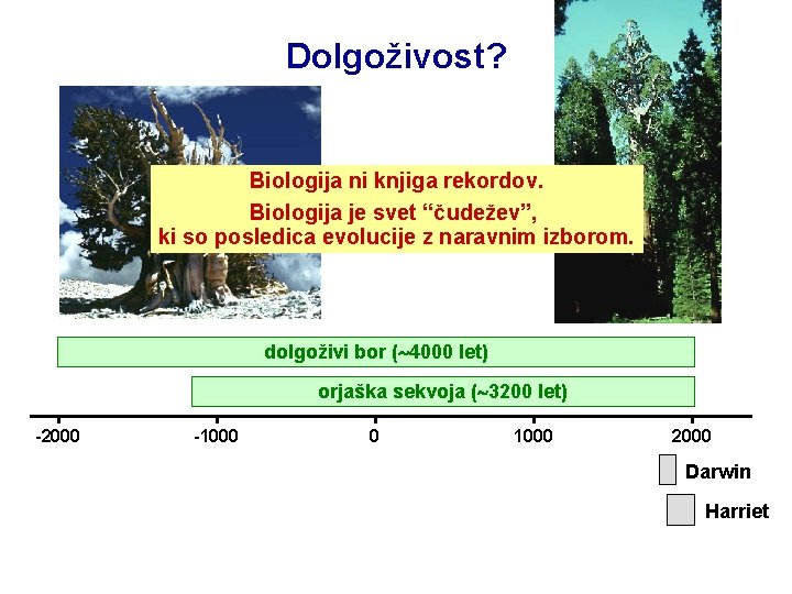 Dolgoživost? Biologija ni knjiga rekordov. Biologija je svet “čudežev”, ki so posledica evolucije z