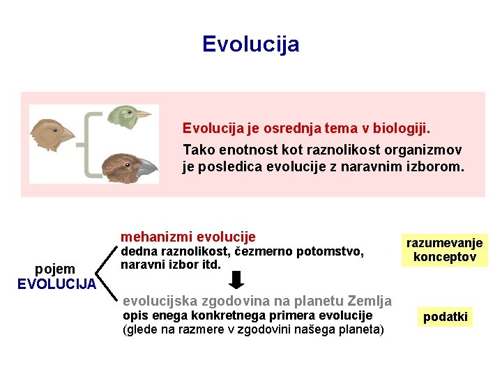 Evolucija je osrednja tema v biologiji. Tako enotnost kot raznolikost organizmov je posledica evolucije