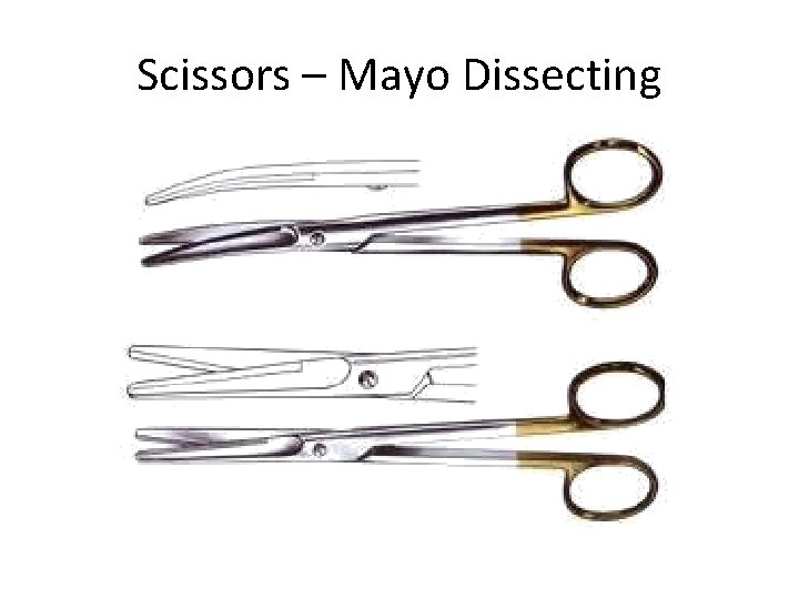 Scissors – Mayo Dissecting 