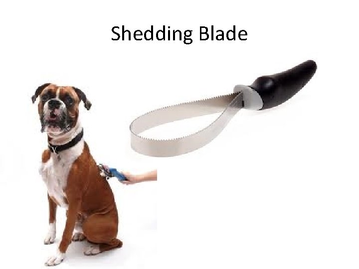 Shedding Blade 