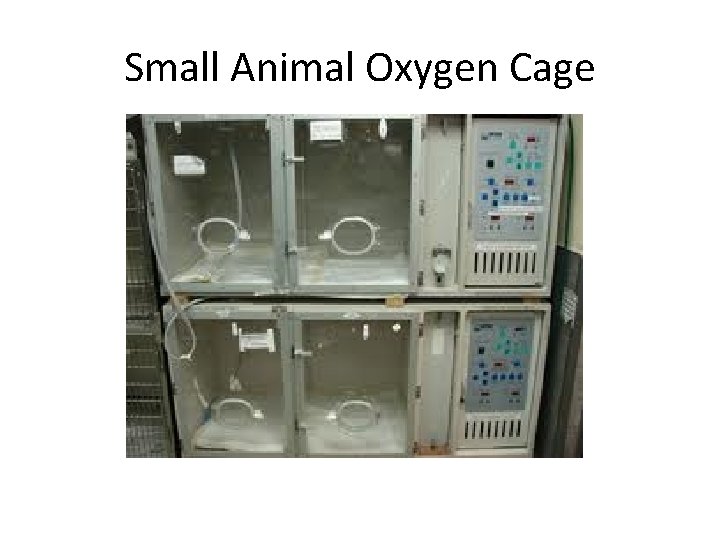 Small Animal Oxygen Cage 