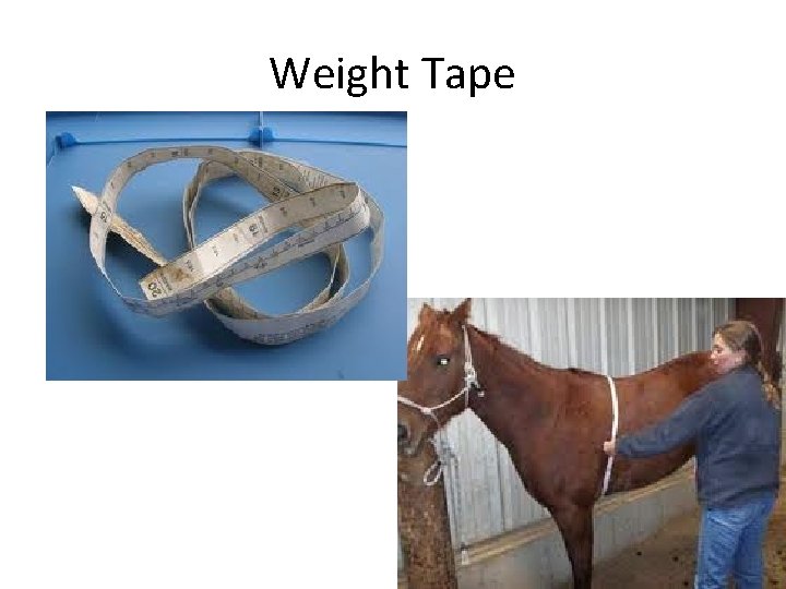 Weight Tape 