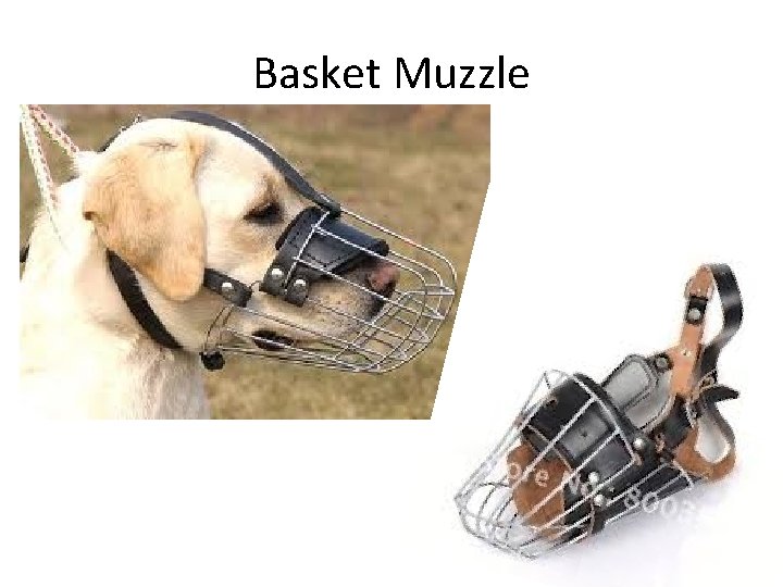 Basket Muzzle 