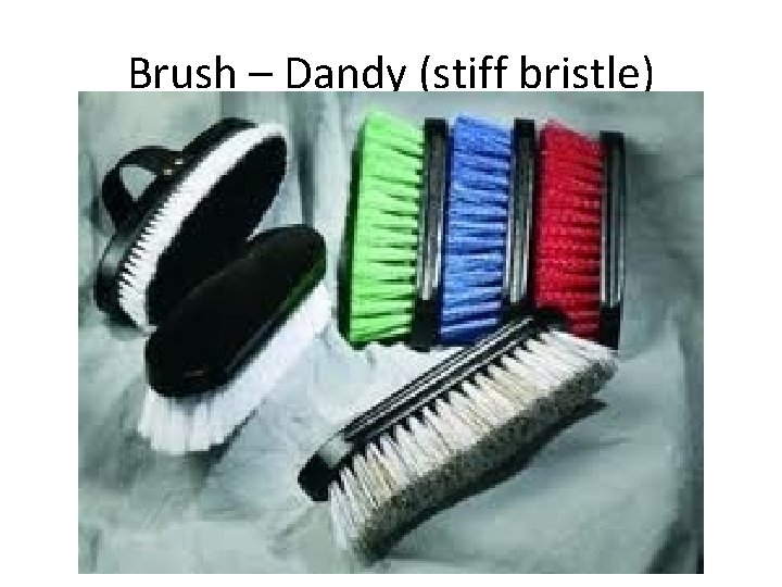 Brush – Dandy (stiff bristle) 