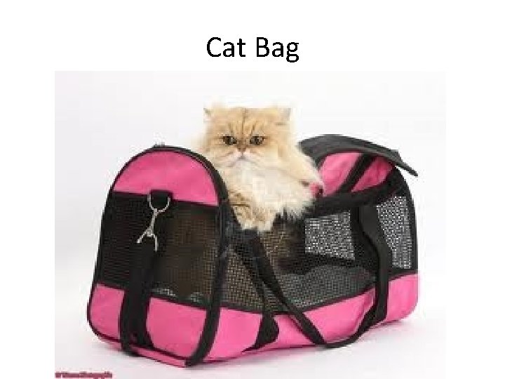 Cat Bag 