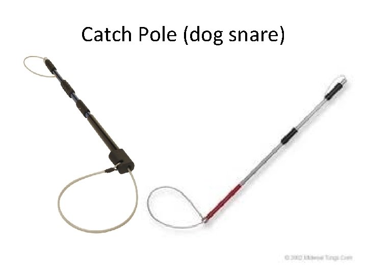 Catch Pole (dog snare) 