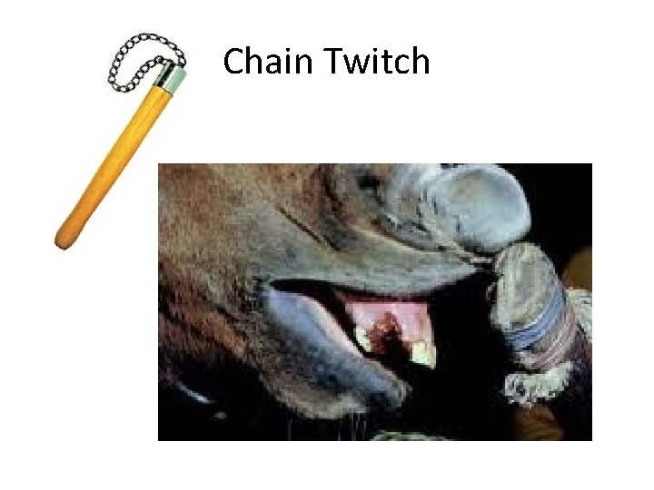 Chain Twitch 