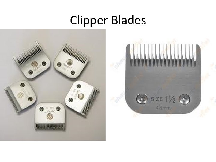 Clipper Blades 