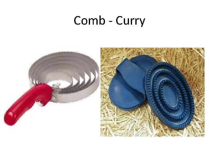 Comb - Curry 
