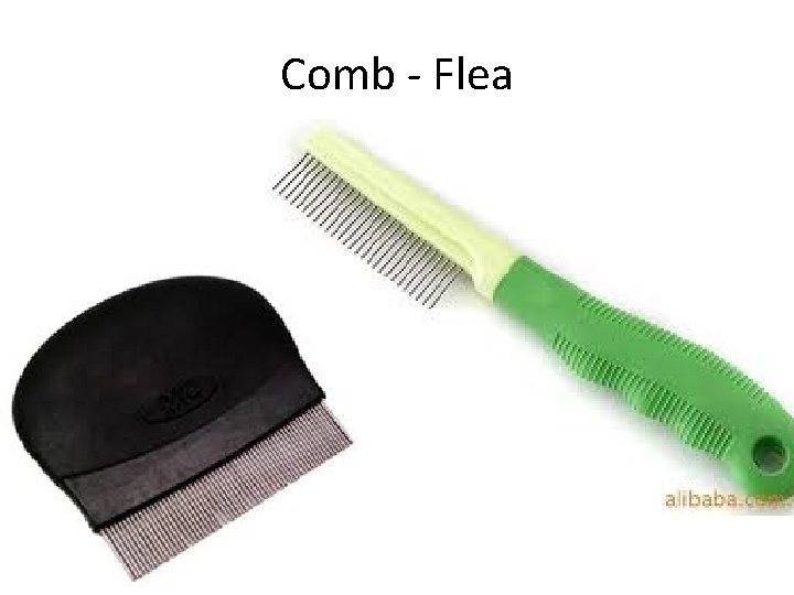 Comb - Flea 