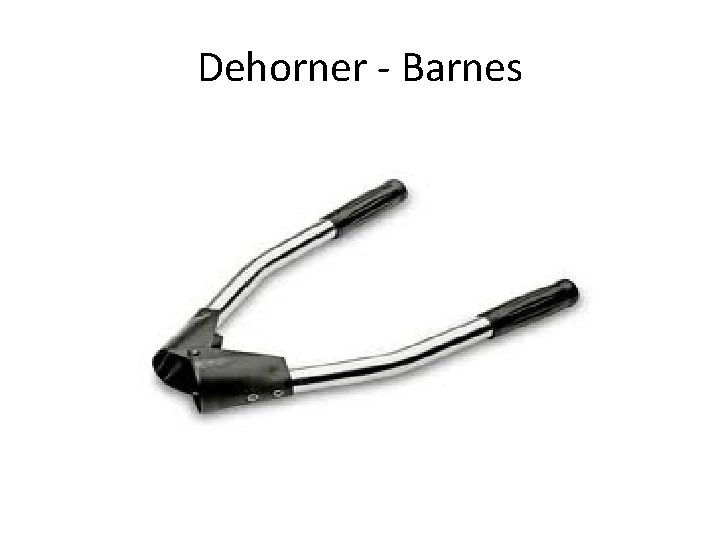 Dehorner - Barnes 