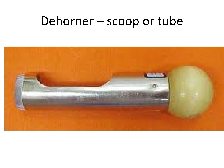 Dehorner – scoop or tube 