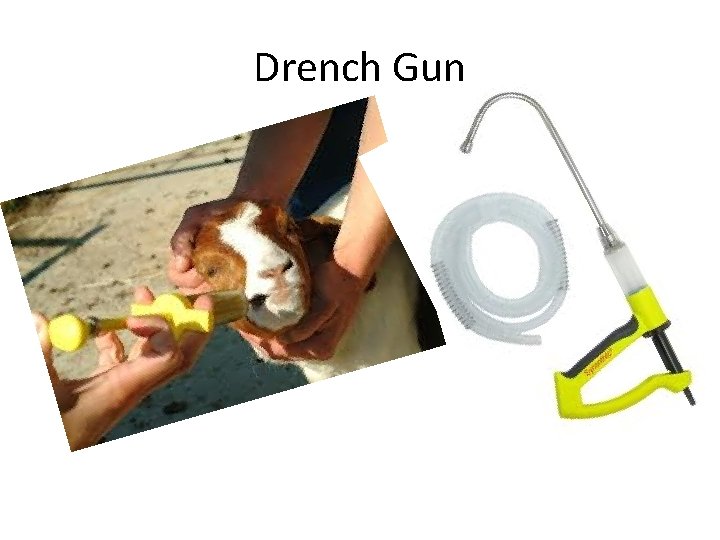 Drench Gun 