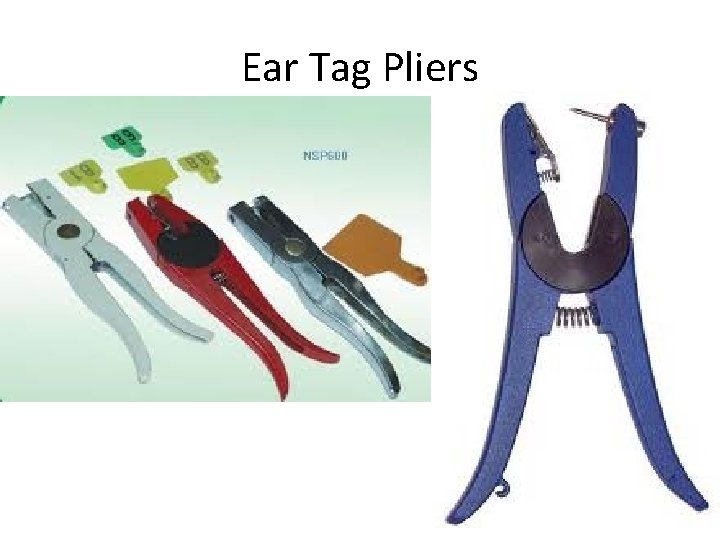 Ear Tag Pliers 