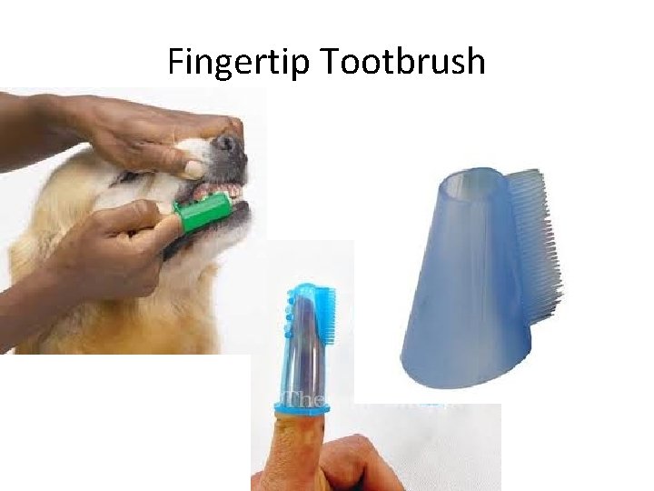 Fingertip Tootbrush 