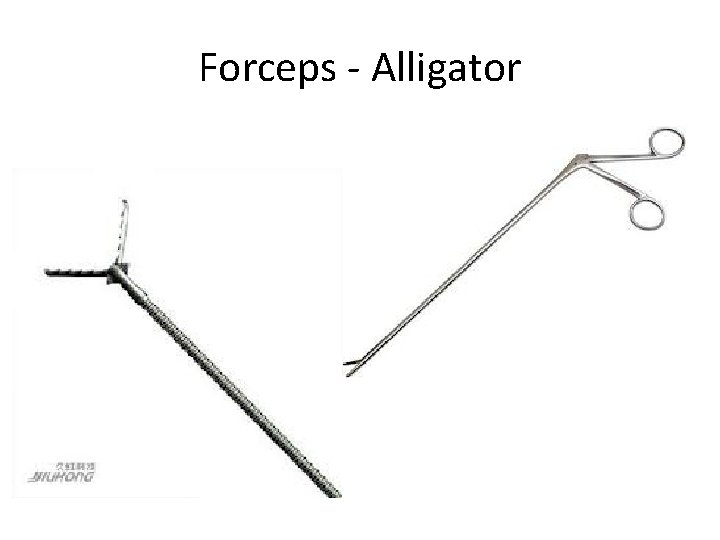 Forceps - Alligator 