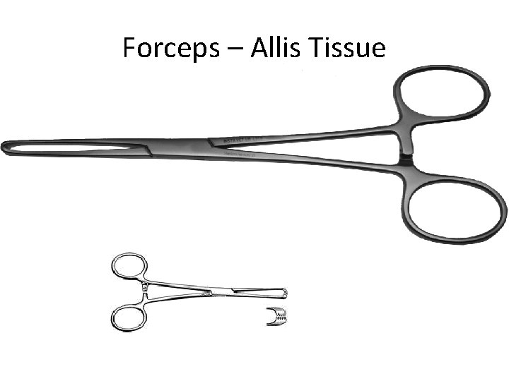 Forceps – Allis Tissue 