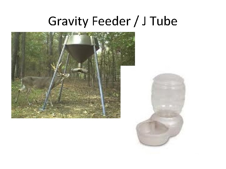 Gravity Feeder / J Tube 