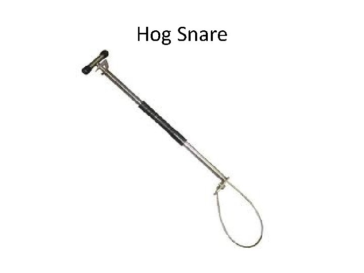 Hog Snare 