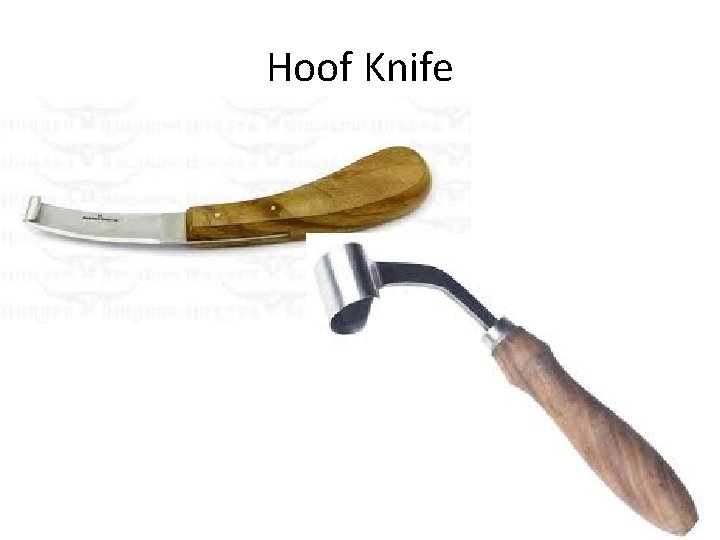 Hoof Knife 