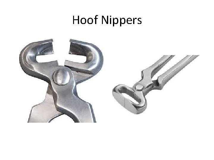 Hoof Nippers 