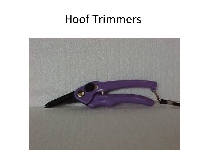 Hoof Trimmers 