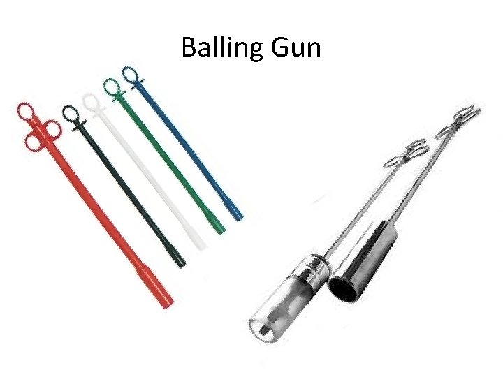 Balling Gun 