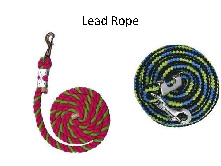 Lead Rope 