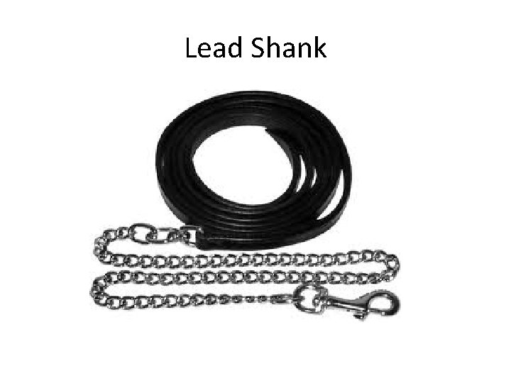 Lead Shank 