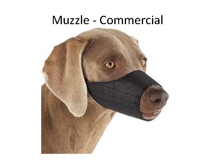 Muzzle - Commercial 