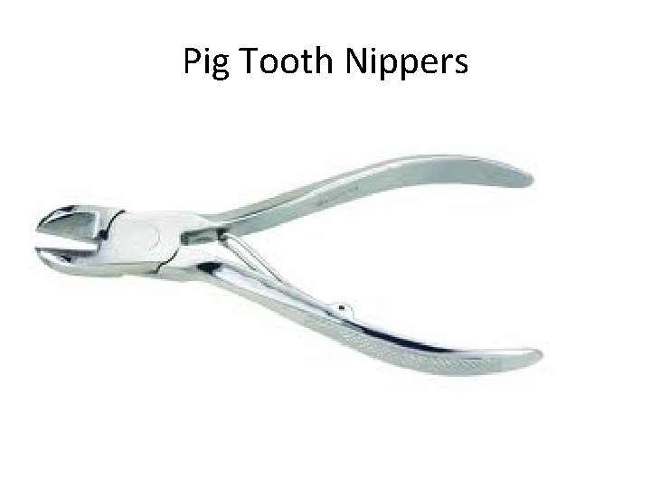 Pig Tooth Nippers 