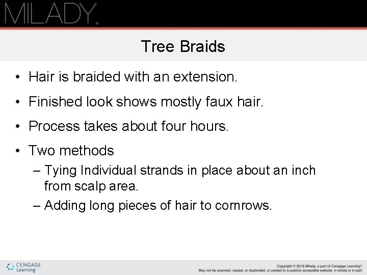 Tree Braids • Hair is braided with an extension. • Finished look shows mostly