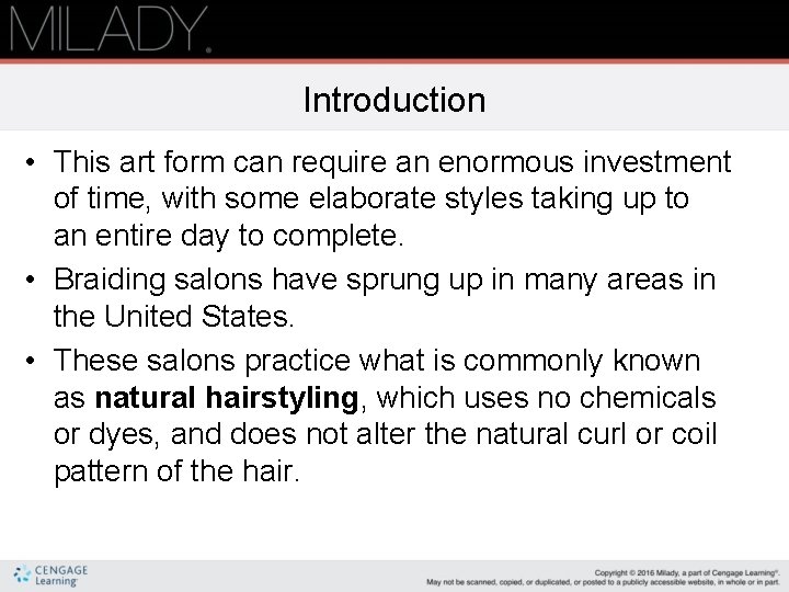 Introduction • This art form can require an enormous investment of time, with some