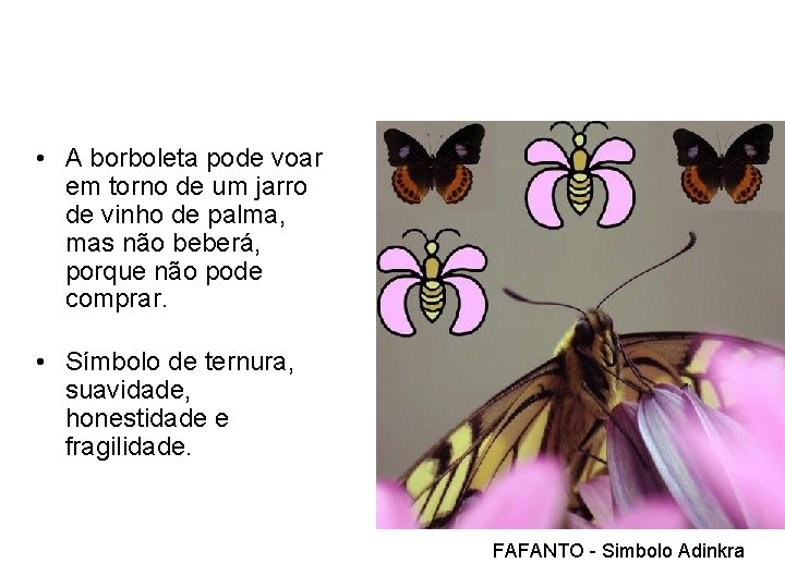  • A borboleta pode voar em torno de um jarro de vinho de