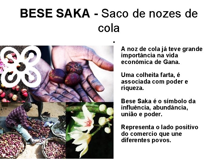 BESE SAKA - Saco de nozes de cola • A noz de cola já