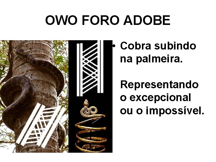 OWO FORO ADOBE • Cobra subindo na palmeira. Representando o excepcional ou o impossível.