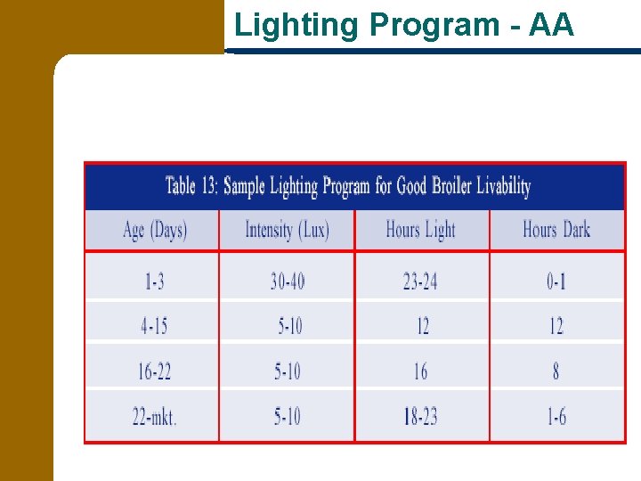 Lighting Program - AA 