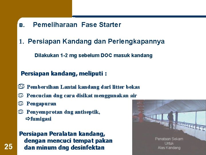 B. Pemeliharaan Fase Starter 1. Persiapan Kandang dan Perlengkapannya Dilakukan 1 -2 mg sebelum