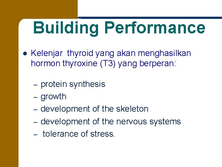 Building Performance l Kelenjar thyroid yang akan menghasilkan hormon thyroxine (T 3) yang berperan: