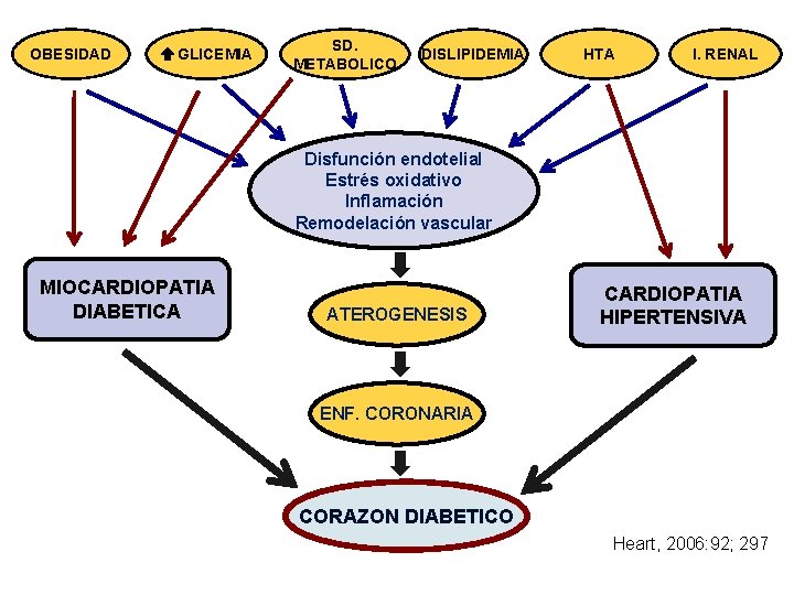 OBESIDAD GLICEMIA SD. METABOLICO DISLIPIDEMIA HTA I. RENAL Disfunción endotelial Estrés oxidativo Inflamación Remodelación